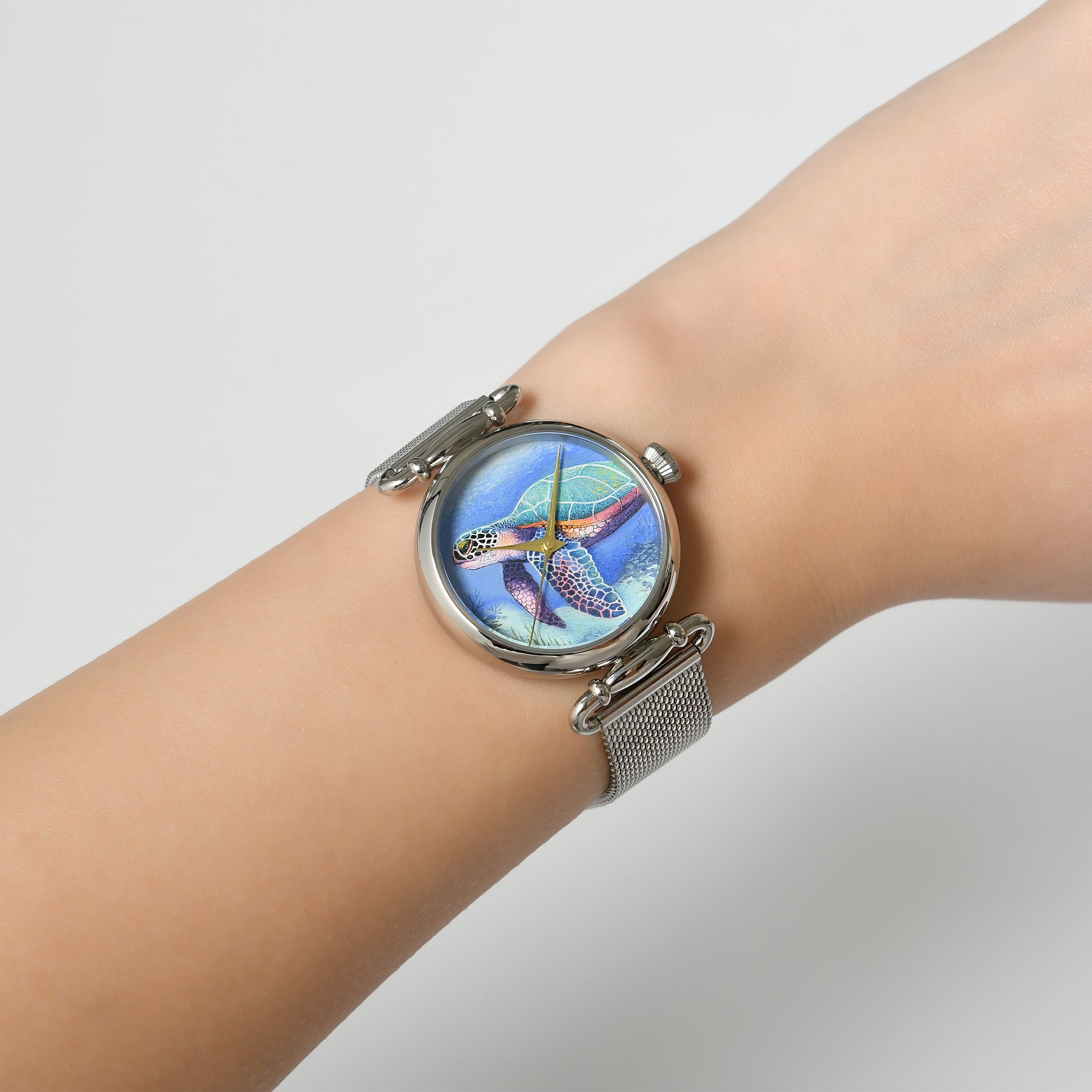Schildkröte Uhr